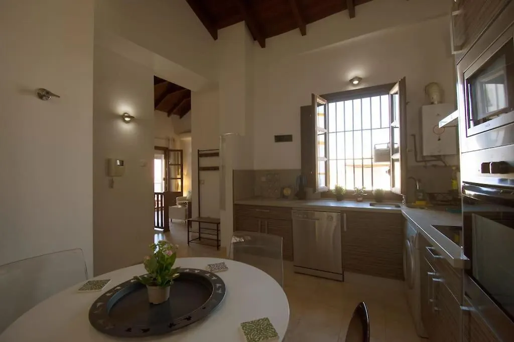 Atico Elvira Apartment Granada